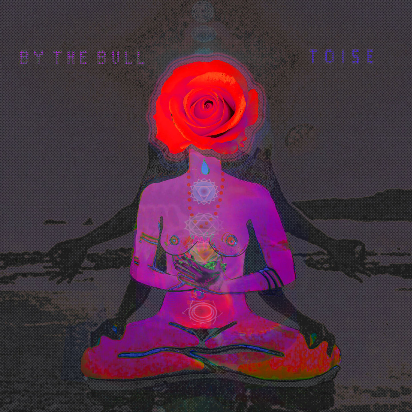 Toise.jpg